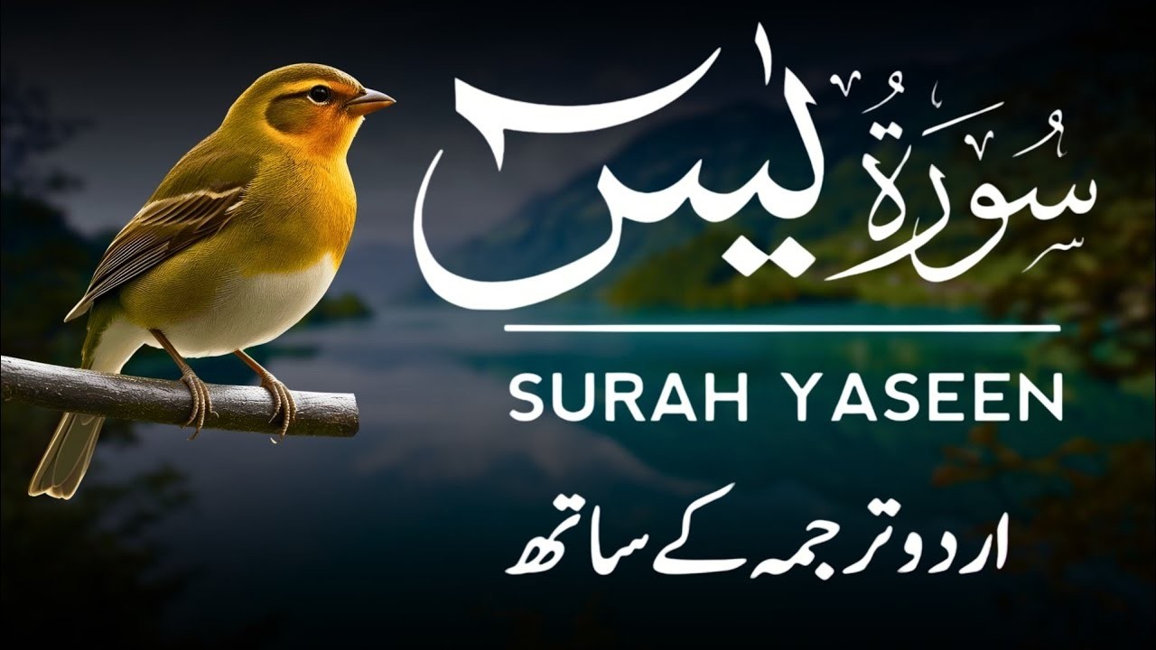 Surah Yaseen | Surah Yaseen With Urdu Translation | Al Furqan Studio | Ep093