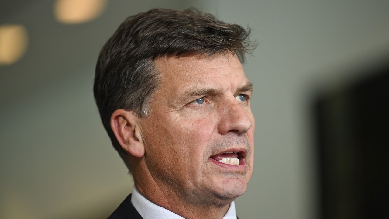 Angus Taylor reportedly ‘has the numbers’ to topple Sussan Ley