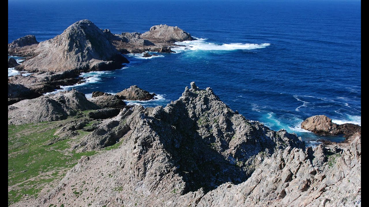 Farallon Islands Live Webcam | California Academy of Sciences