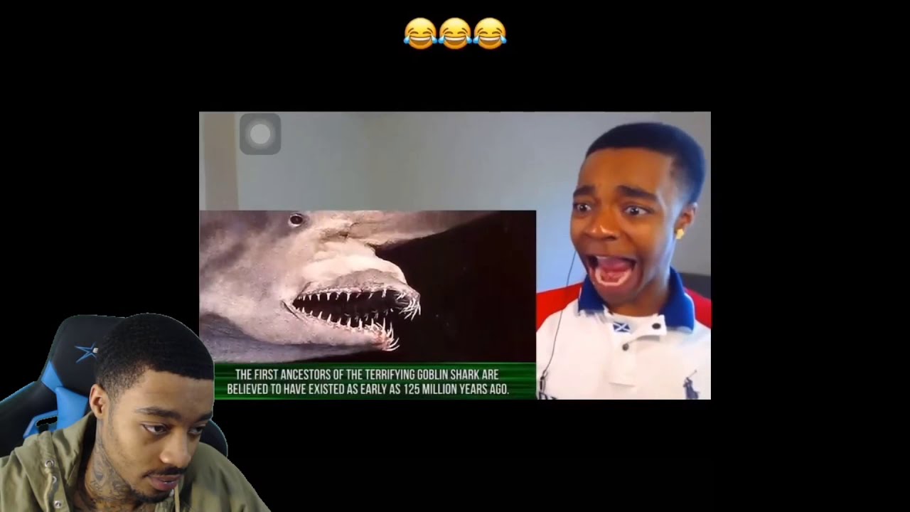 Funniest FlightReacts Tik Toks #3 Reaction!