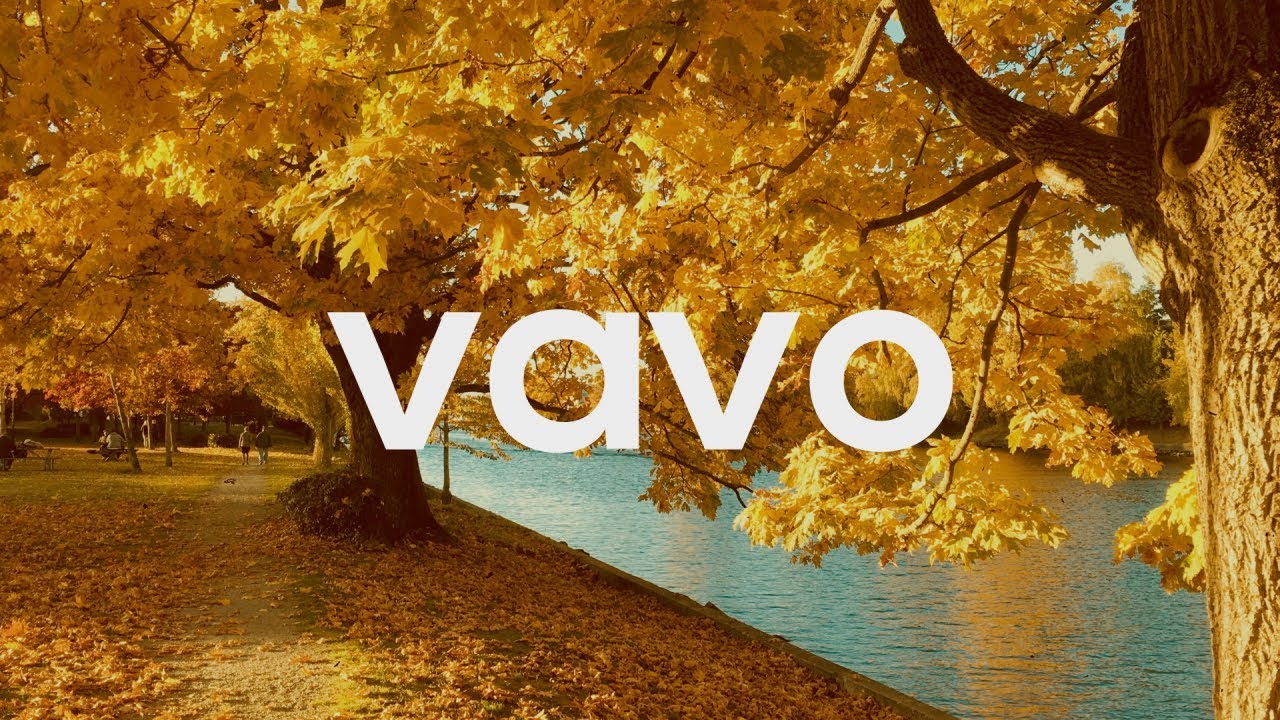 TheFatRat - Fly Away feat. Anjulie (VAVO Remix)