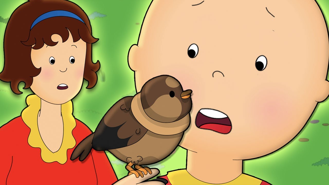 Caillou and the Bird | Caillou Cartoon