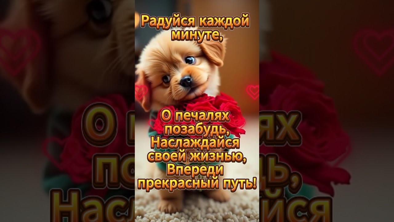Хорошего дня, Здоровья и Счастья! Have a nice day, good health, and happiness! #shorts