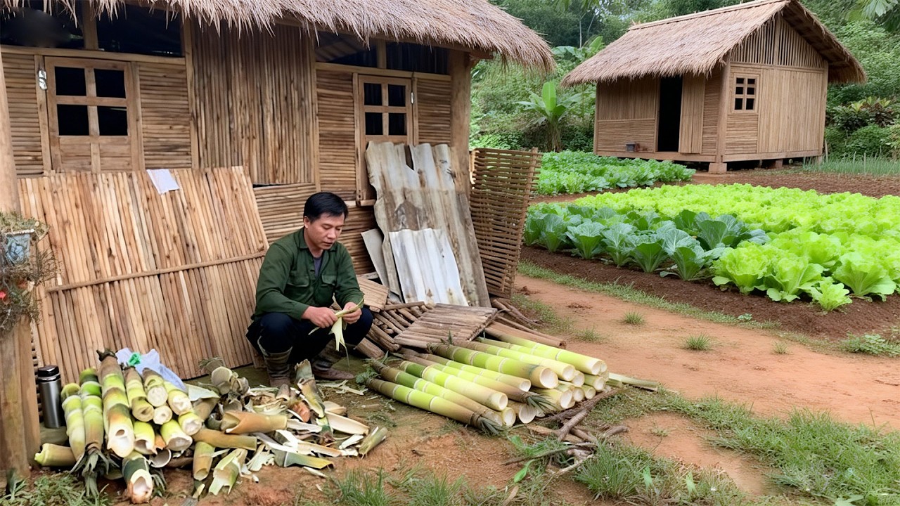 How To Make Bamboo Shoots Walls To Prevent Sunlight From Entering The House - Manh Van Farmer