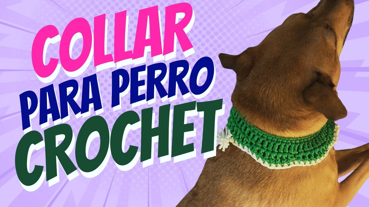 Collar a crochet para perro | Pet crochet | Collar fácil y rápido crochet 