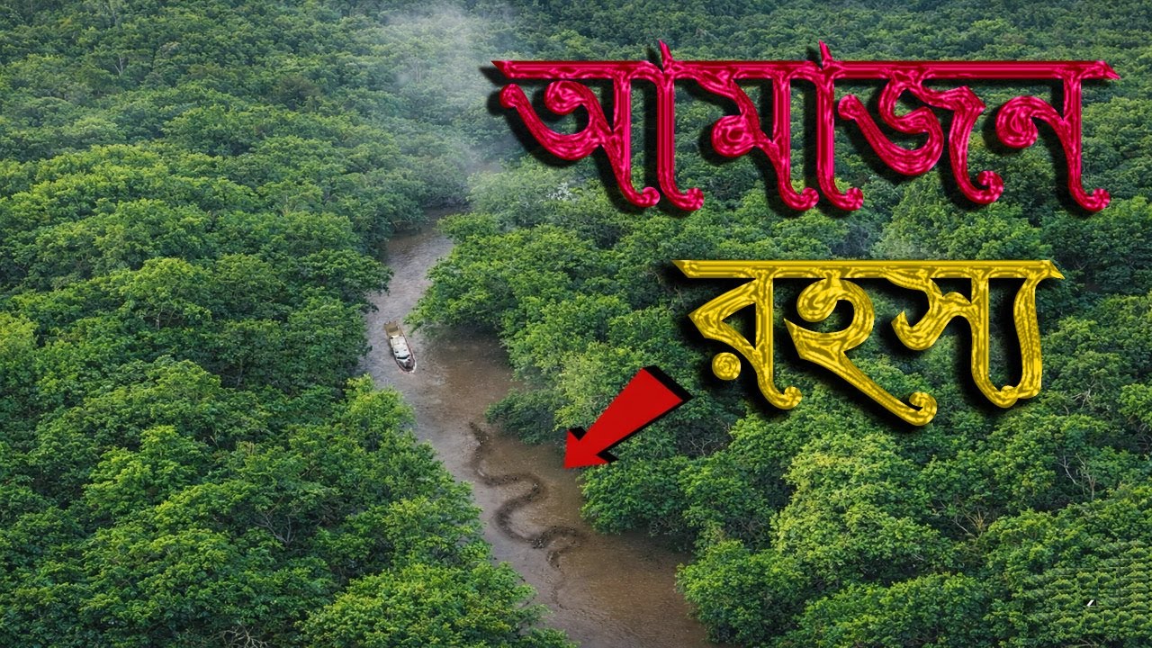 আমাজন বন | পৃথিবীর সবচেয়ে রহস্যময় বন | বিশ্ব ভ্রমণ