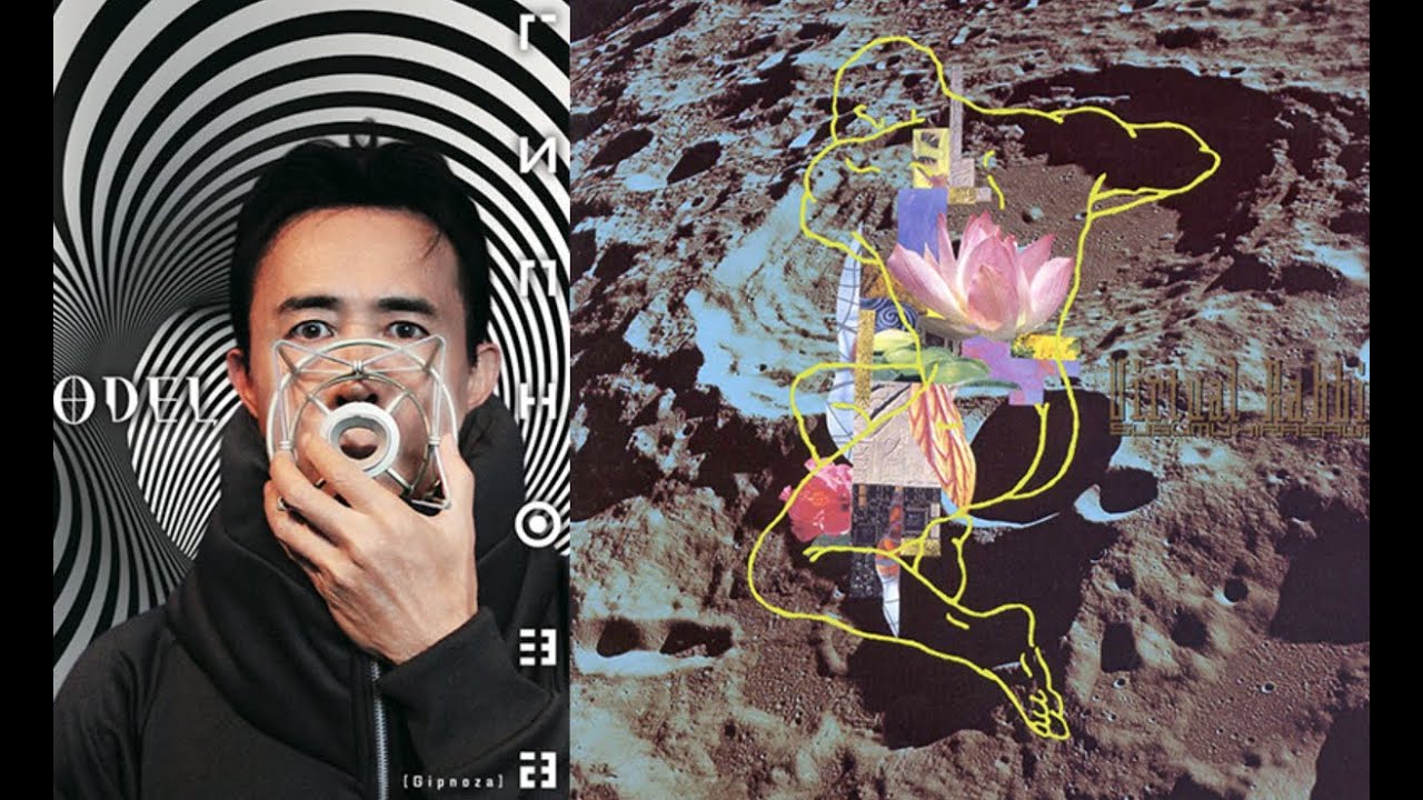 Timelineの東 ヴァーチュアル・ラビット 平沢進 核P-MODEL Gipnoza Your abyss leads to the moon and reunites you with God