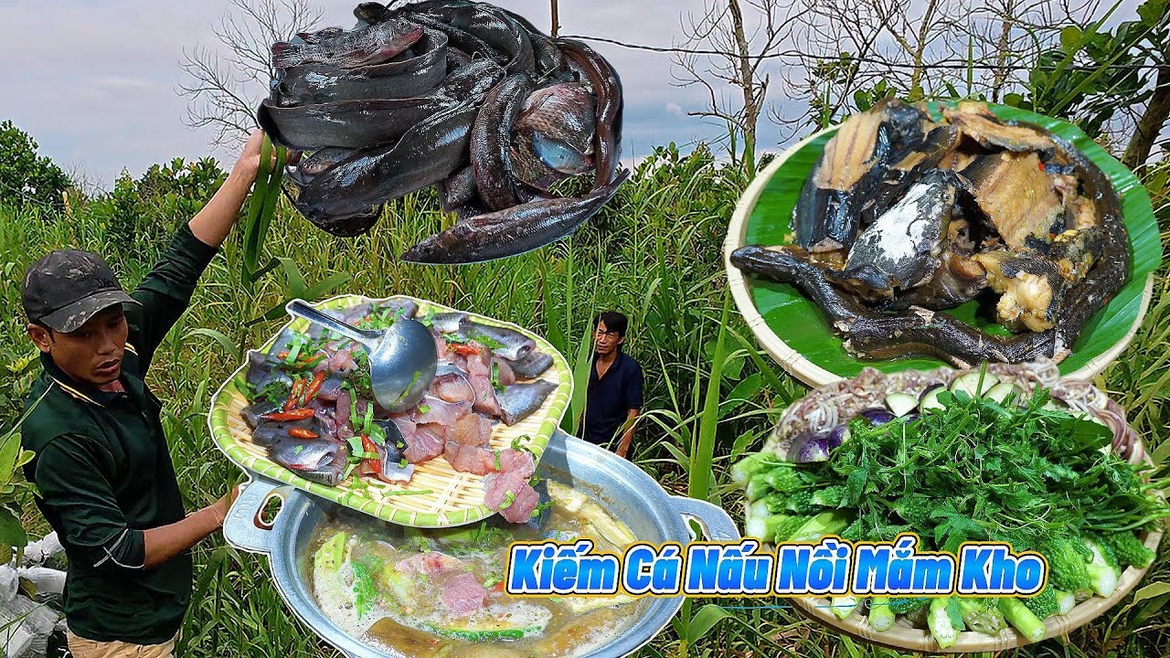 Kiếm Cá nấu nồi 