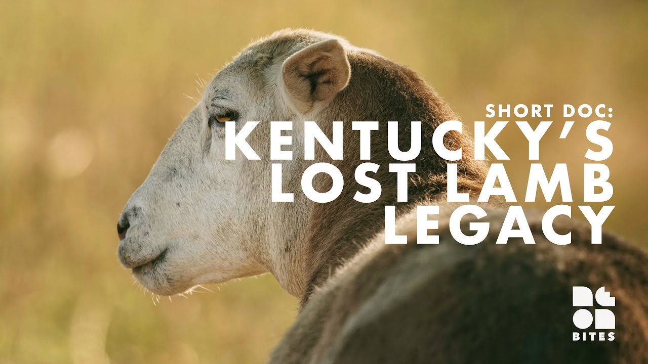 Lamb Barbecue Kentucky Style with Freedom Run Farm