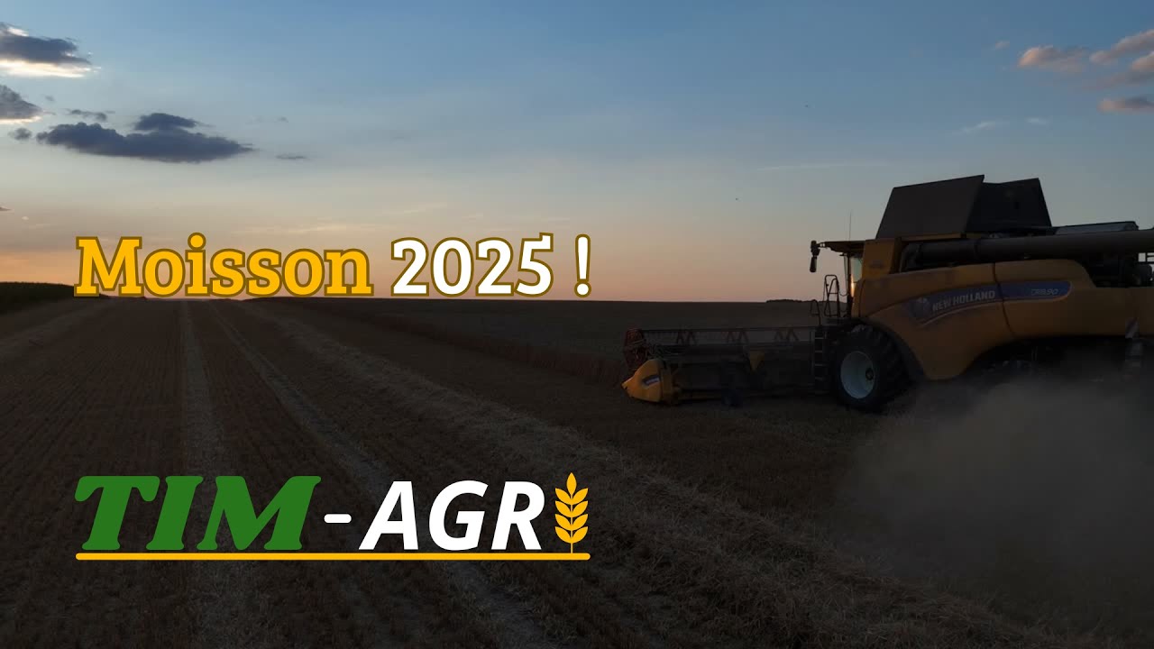 Moisson 2K25 (Bon un peu en retard...) Et bonne année !
