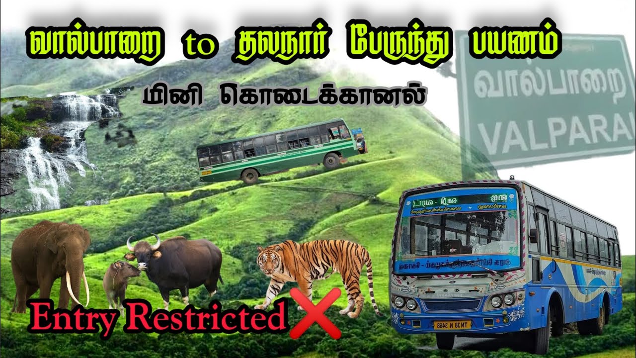 Thalanar Estate | Valparai | Tnstc bus | வால்பாறை to தலநார் | 