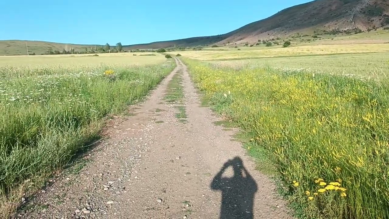 Erzincan Tercan Yukarı Zağgeri K&ouml;y&uuml;