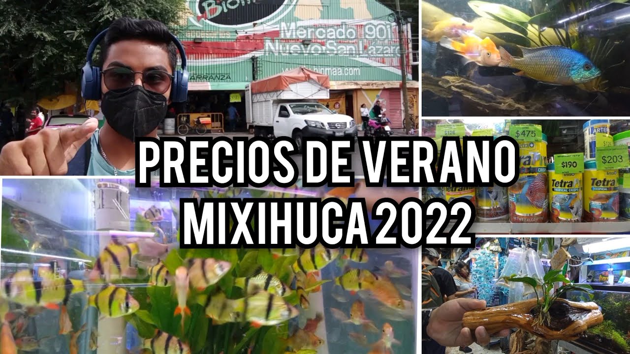 Precios de Verano 2022 en el Mercado de Mixihuca / Peces, plantas, Acuarios, alimentos, filtros, etc