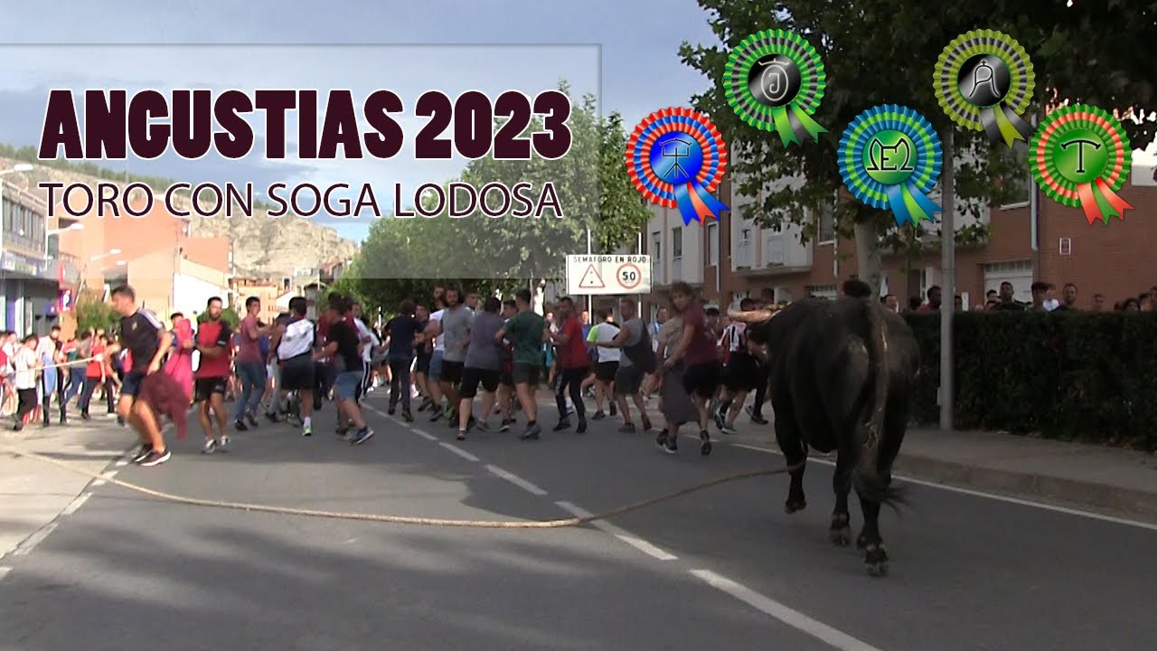 ANGUSTIAS 2023 - Toro con soga lodosa (Del 15 al 17 de Septiembre)