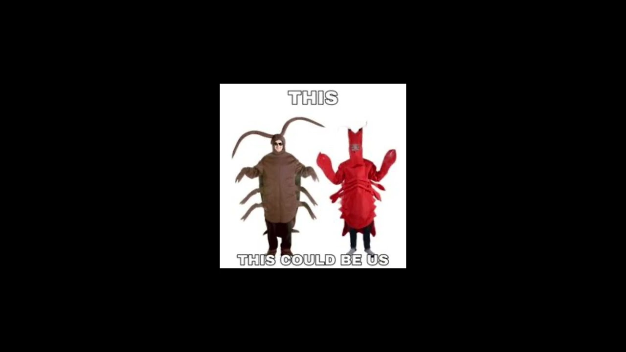 sped up audios pt.99 🦞 + timestamps
