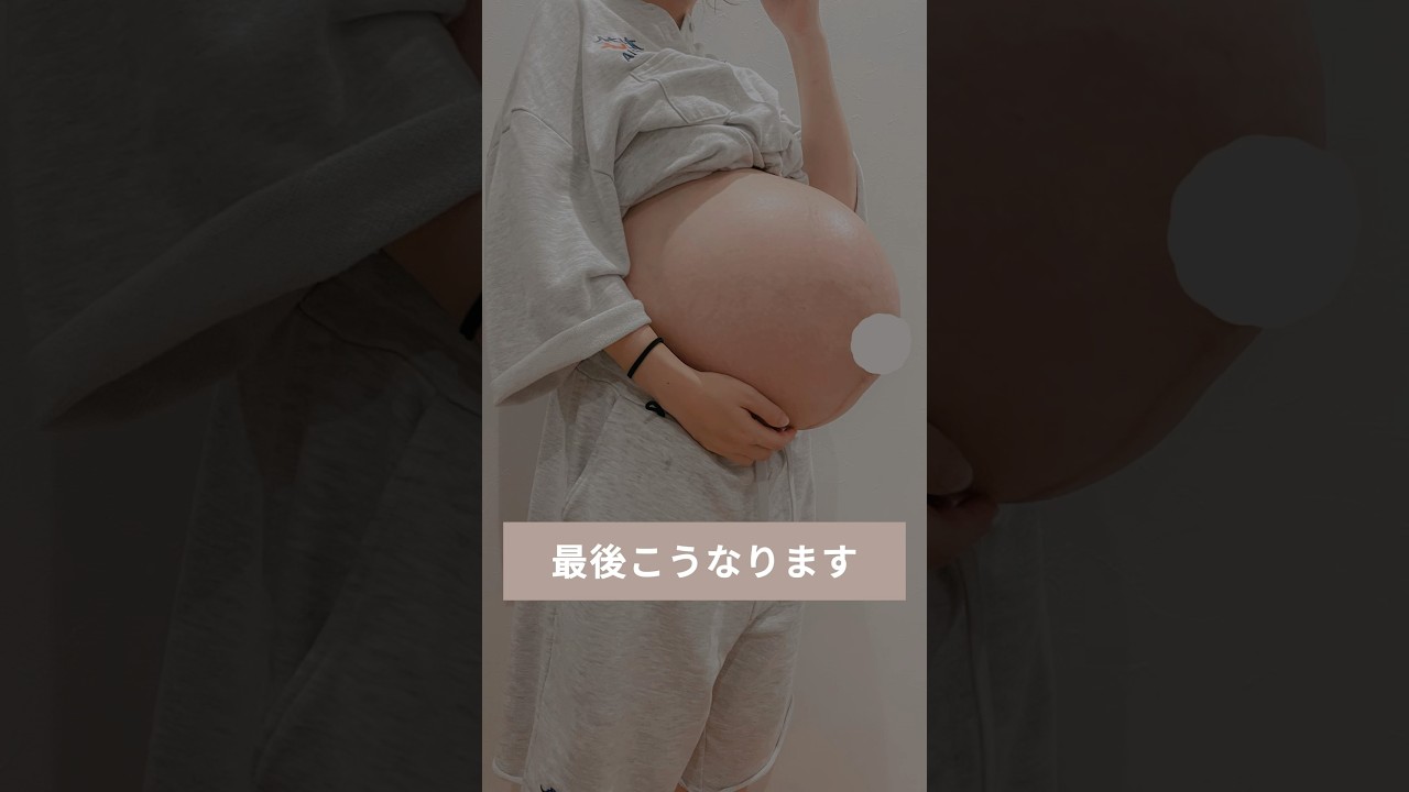 閲覧注意⚠️2度の双子妊娠から学んだ双子マニュアル【妊娠編】