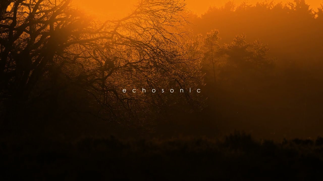 the first light of morning