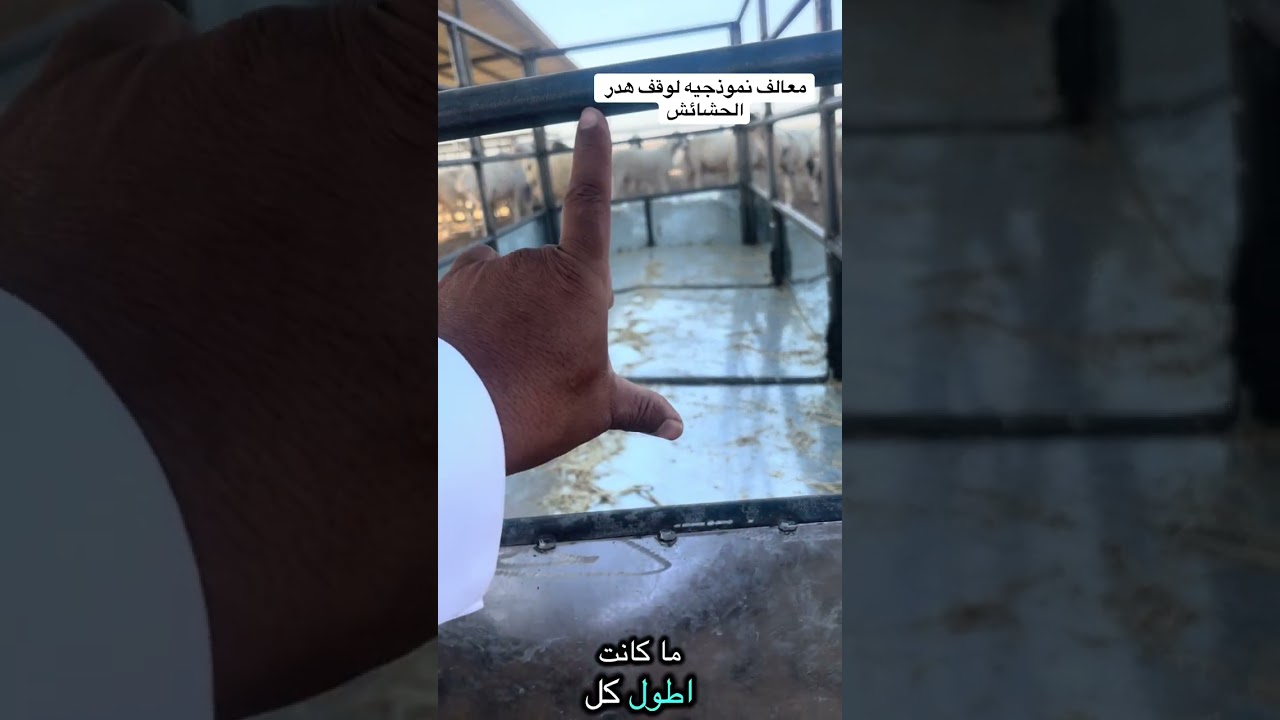 الحلقة (189) المعالف النموذجيه لايقاف هدر الحشائش