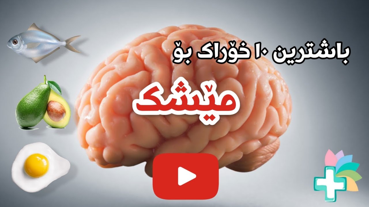 باشترین 10 خۆراک بۆ تەندروستی مێشک - خۆراکە بەسوودەکان
