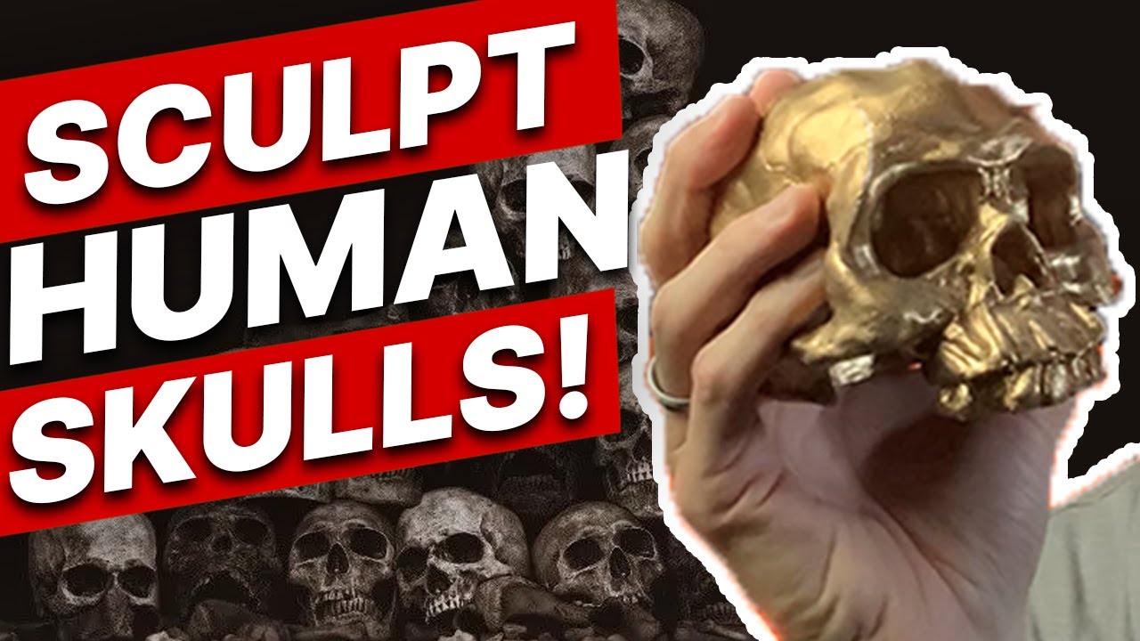 How to Sculpt a Human Skull in Clay | Learn Ceramics