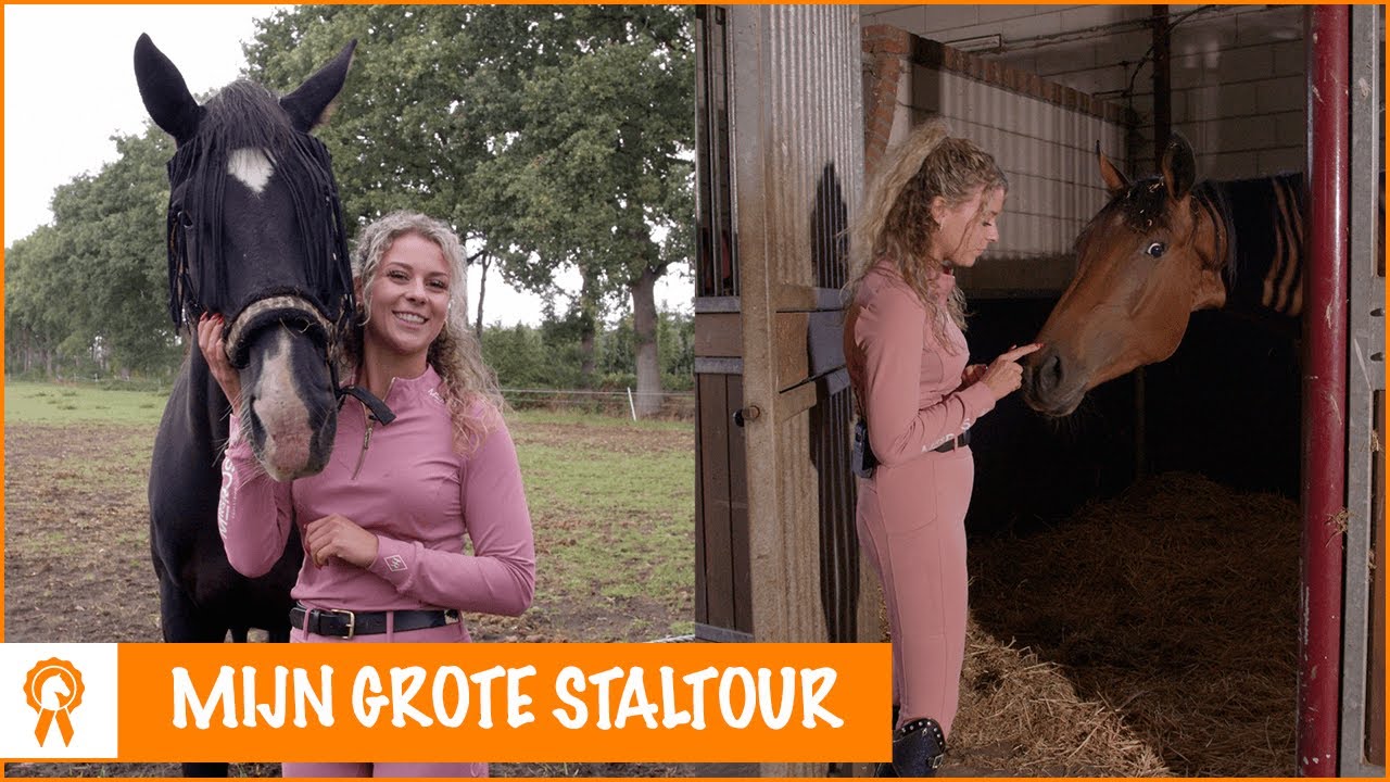 Neem een kijkje in mijn droomstal | PaardenpraatTV