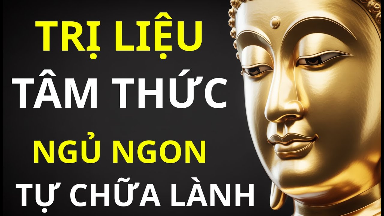 Đừng Cố 