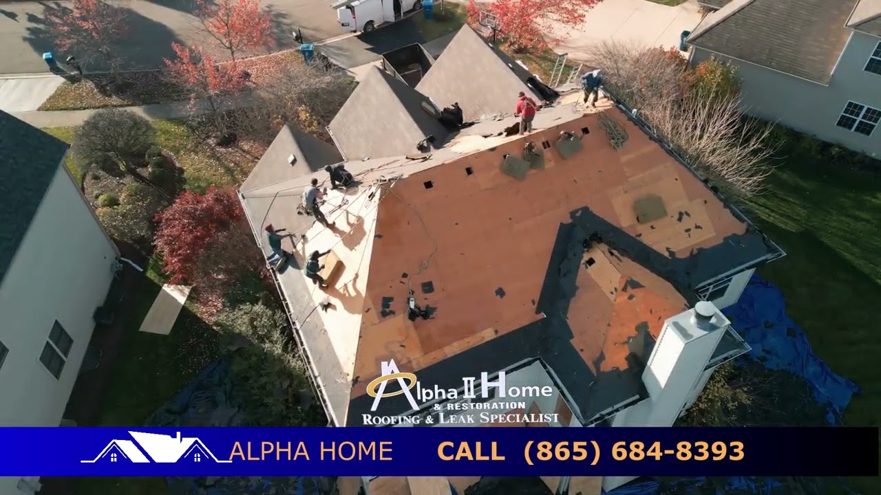 Alpha Home Roofing