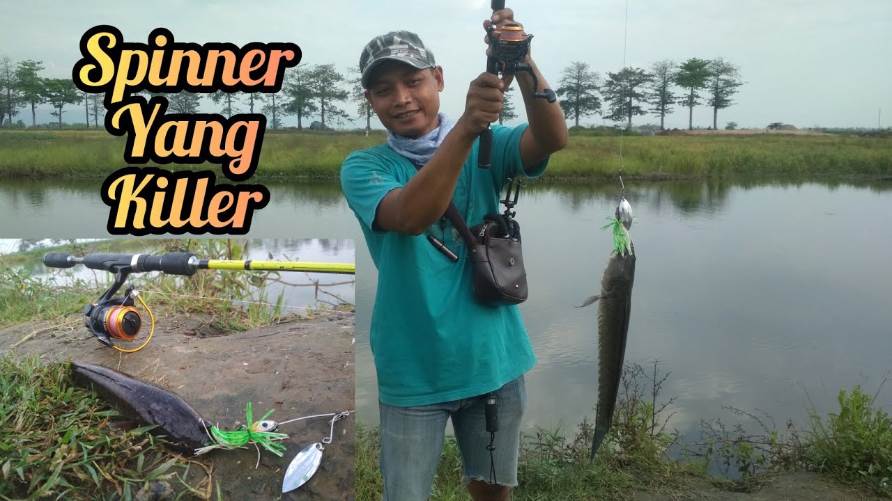 CARA PAKAI SPINNER || casting ikan gabus dasaran ||