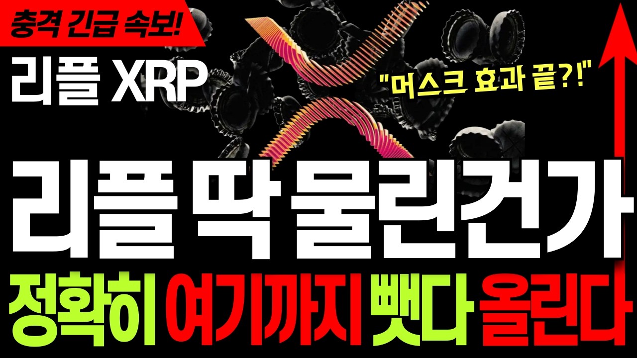 리플코인 전망 🚀 리플 XRP 엑스알피 &lsquo;딱' 물린건가?! ⚡머스크 효과 끝... 정확히 여기까지 뺏다 올릴겁니다 #리플 #리플코인 #리플코인전망