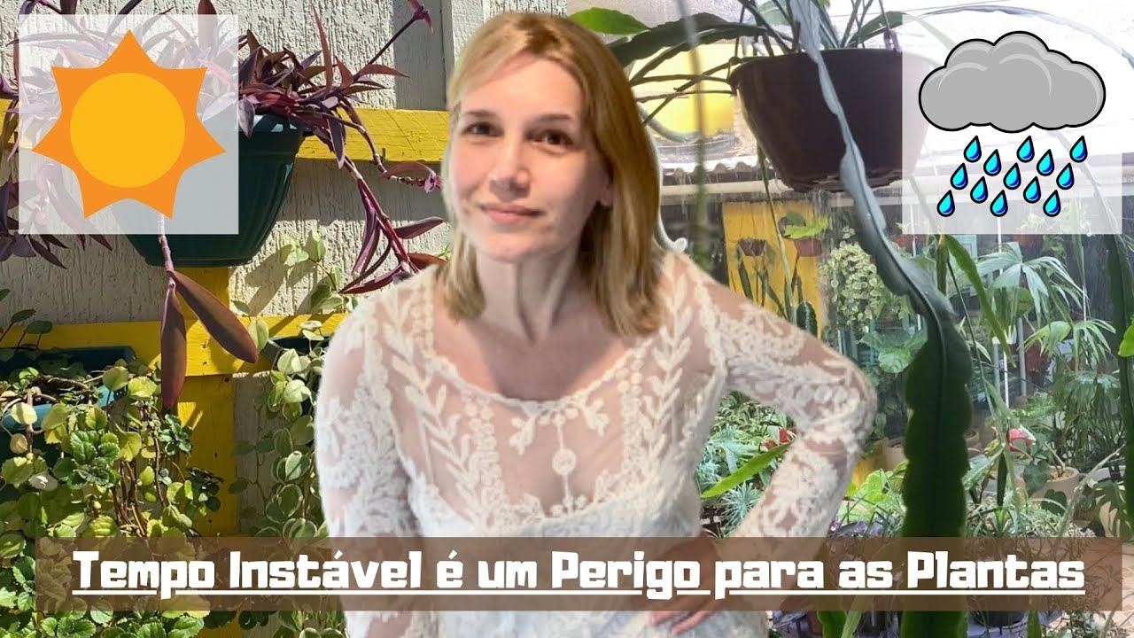 Tempo Instável é um Perigo para as Plantas, Sabia?! | Nossa Vida é sem Frescuras!