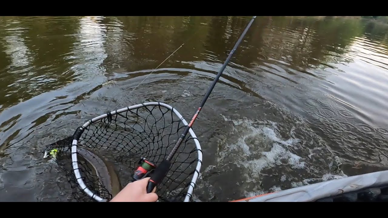 MUSKY Kayak Battle | Replay For Your Enjoyment