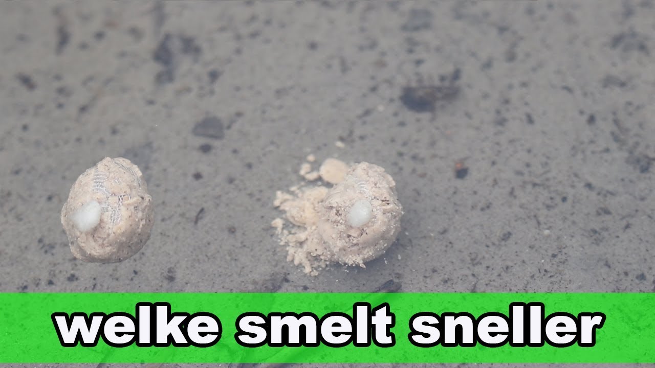 PVA VAN ALIExpress versus Duur PVA