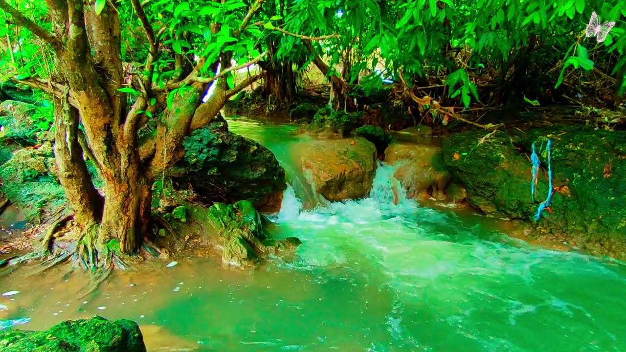 Relaxing Music For Stress Relief, Anxiety and Depressive States🌲Heal Mind, Body and Soul 48