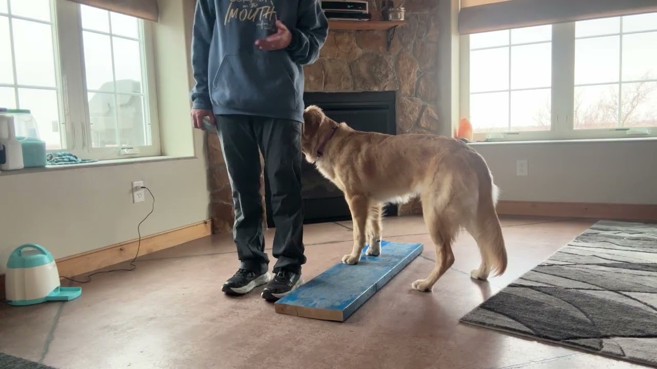 Body awareness w/ the pet Geek 1/30/26