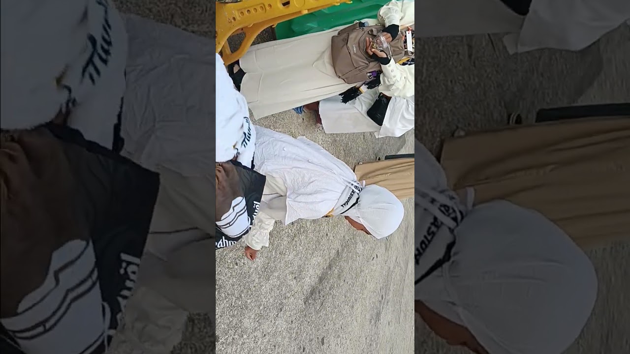 Burung dara di depan masjidil haram makah