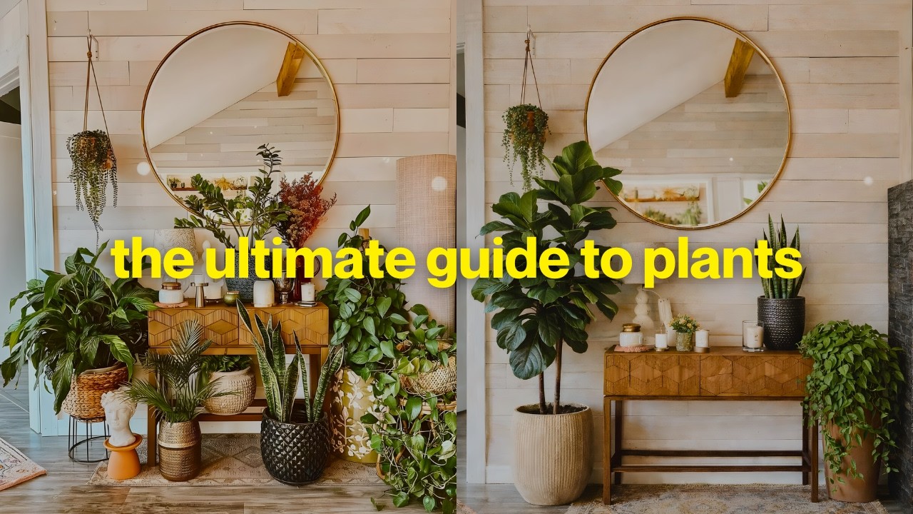 The Ultimate Guide To Plants (For Your Home)