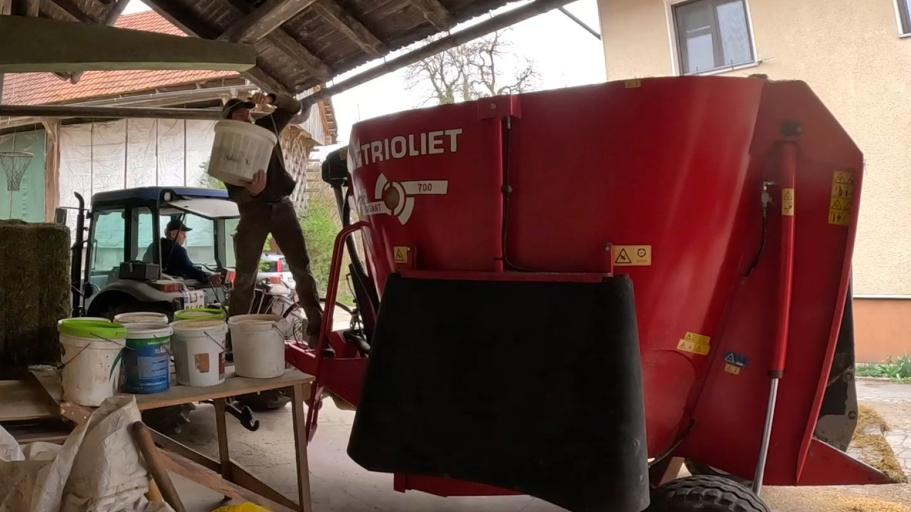 Wczesna wiosna na małej farmie mleczarskiej