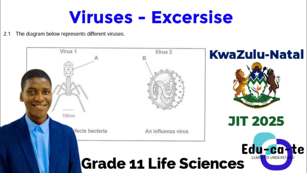 Viruses - Practice Exercise (Grade 11 Life Sciences)