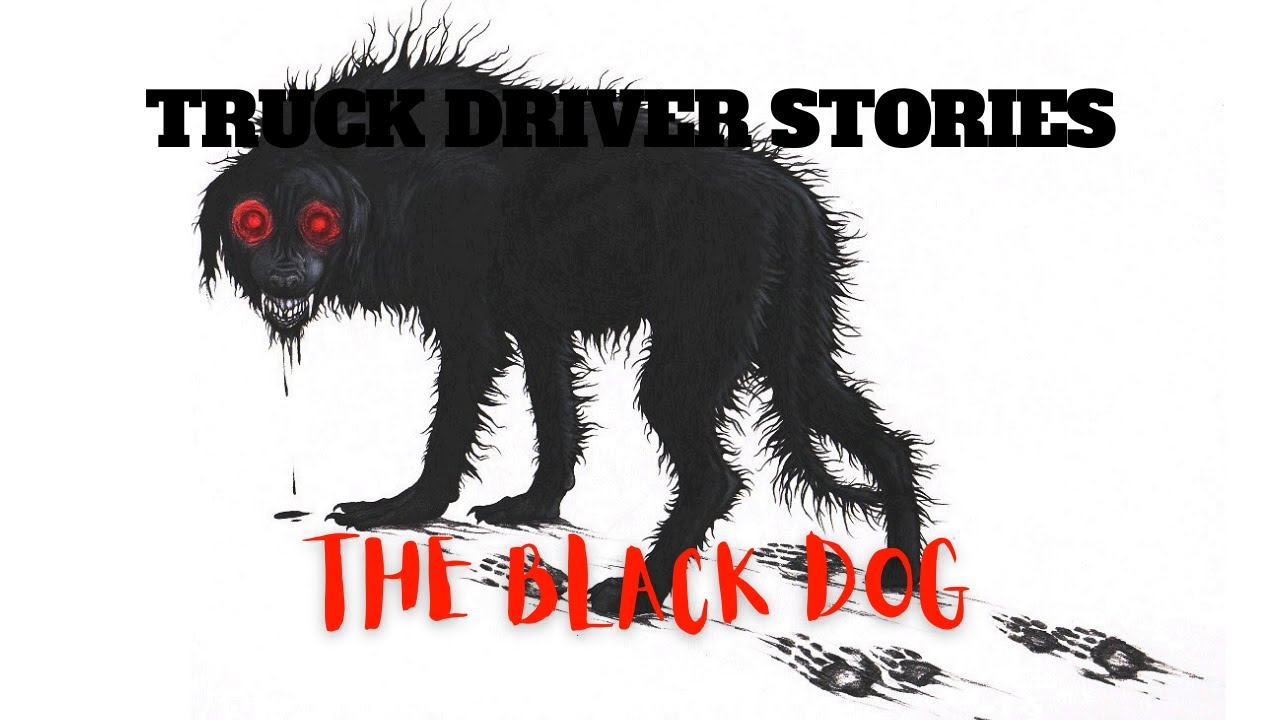 TRUCK DRIVER HORROR STORY - Black Dog