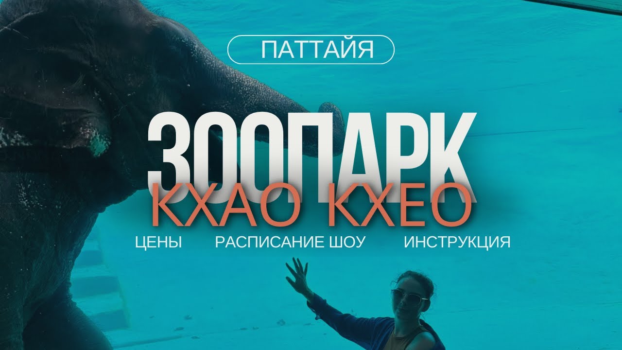 ПОЛНЫЙ ОБЗОР ЗООПАРКА КХАО КХЕО. СЕКРЕТЫ ПОСЕЩЕНИЯ😱 #кхаокхео #таиланд2024 #зоопарк #лайфхак