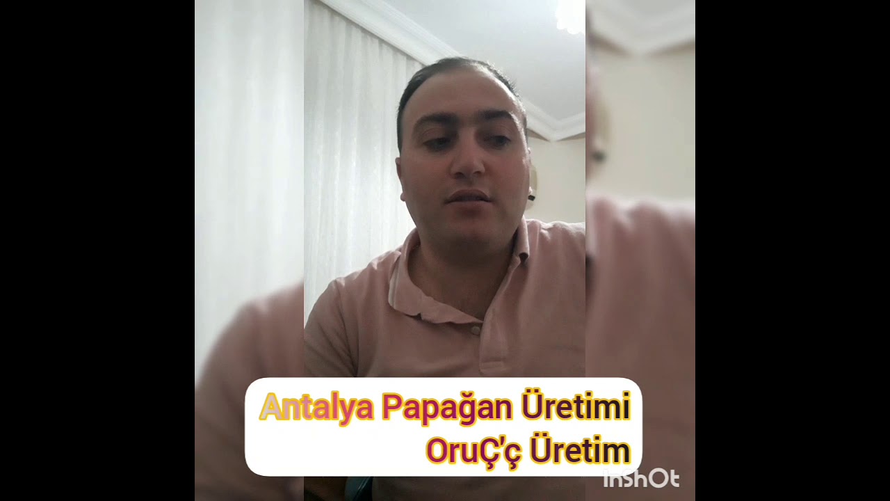 Tüy dökümü Hastalıgı tedavisi  (French Molt -  Fransız tüy hastalığı)