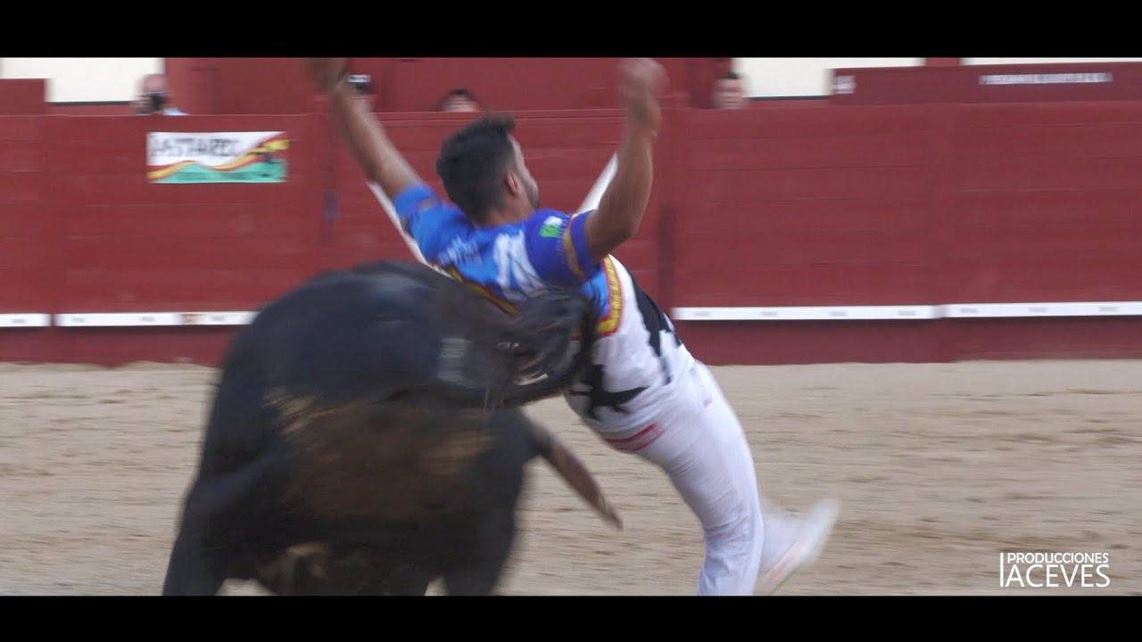 Concurso de Cortes Arévalo 2022