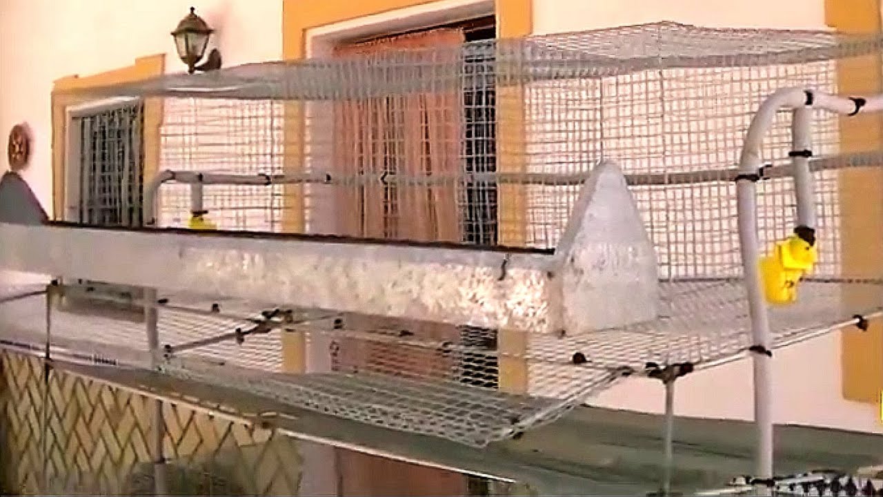 Cómo hacer una jaula para codornices casera