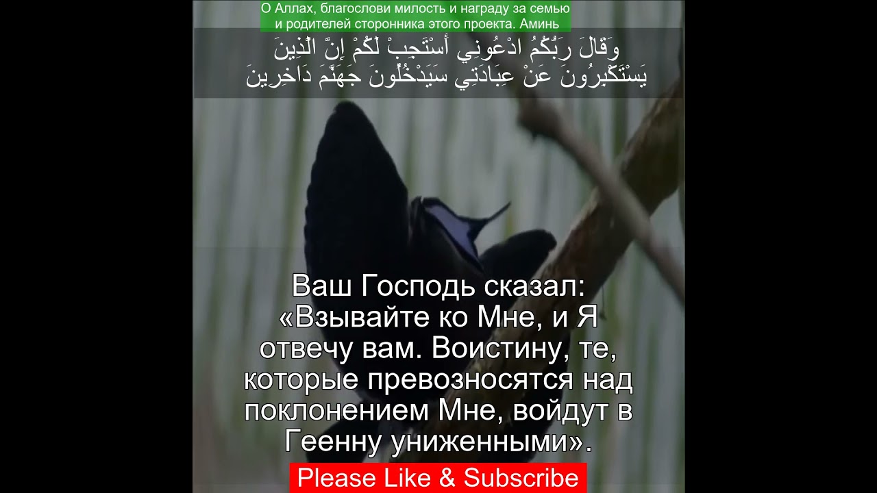 Коран Сура Гафир | 40:60 | Чтение Корана с русским переводом | Quran Translation in Russian
