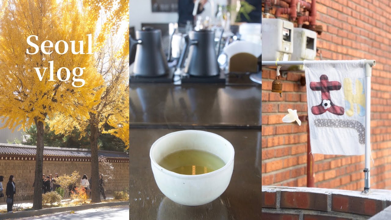 seoul vlog ひとり韓国旅 ep.2 / 西村と付岩洞カフェ / ポッサム定食 / ノドゥル島と夜景 