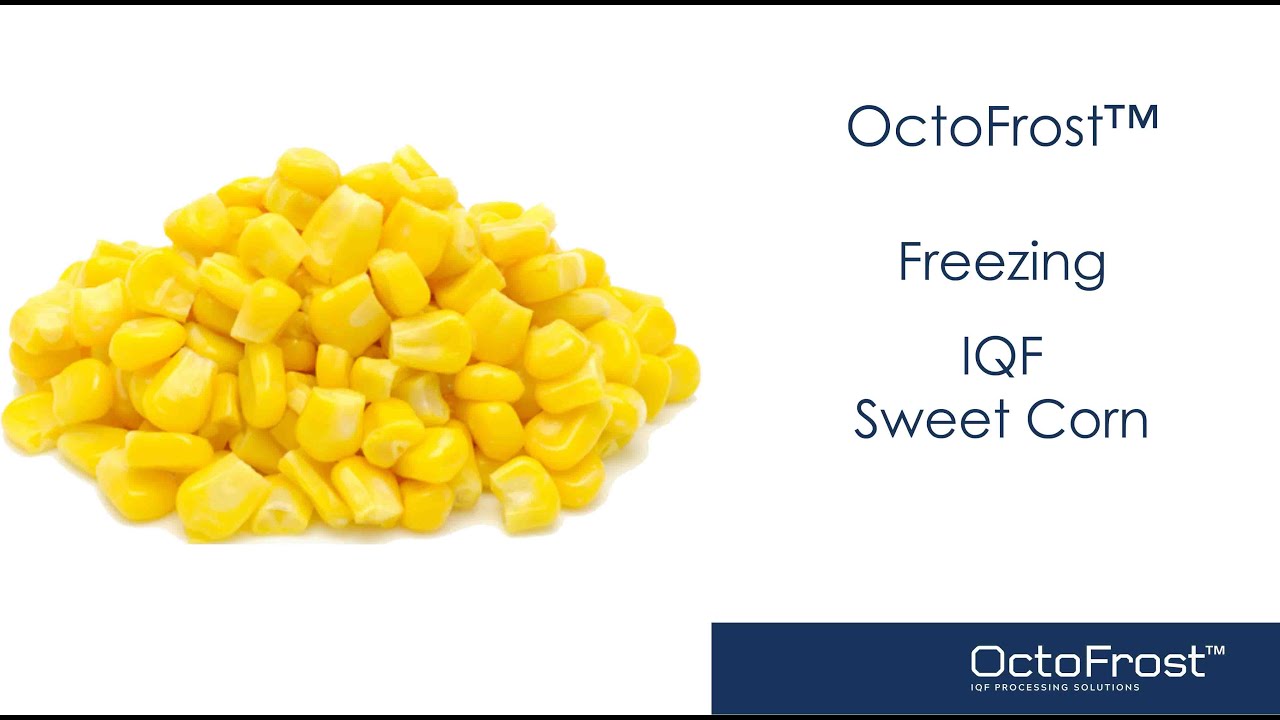 OctoFrost™ IQF Processing Sweet Corn