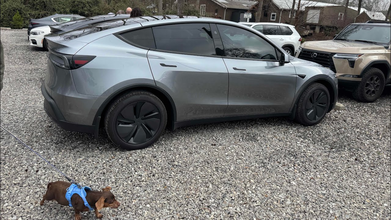 Can My Father-in-Law Trust Tesla FSD? His First Ride