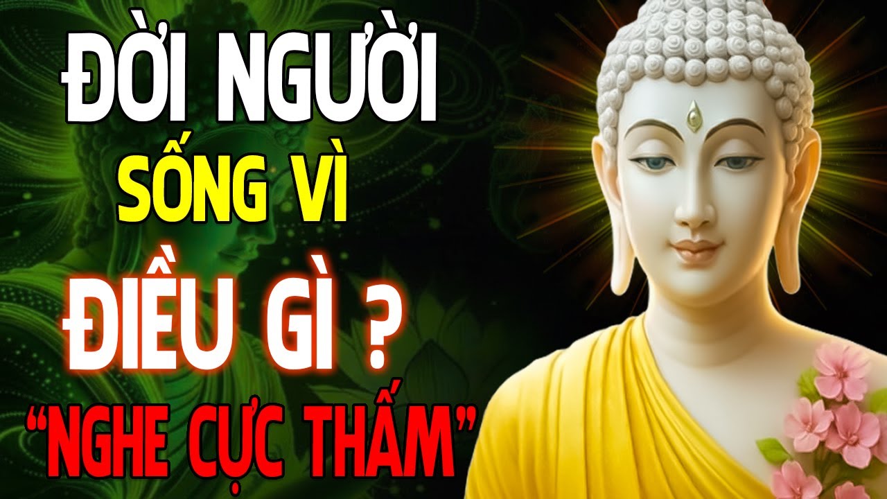 Đời Người Rốt Cuộc Sống Vì Điều Gì?? Nghe Một Lần Để Tỉnh Thức - Tâm An Cửa Thiền