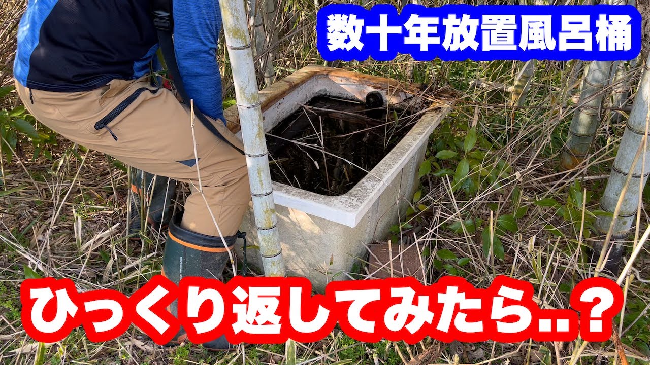 荒れた畑の開拓 大きな雑木の切り倒し方 葛の駆除を継続 竹藪の整理
