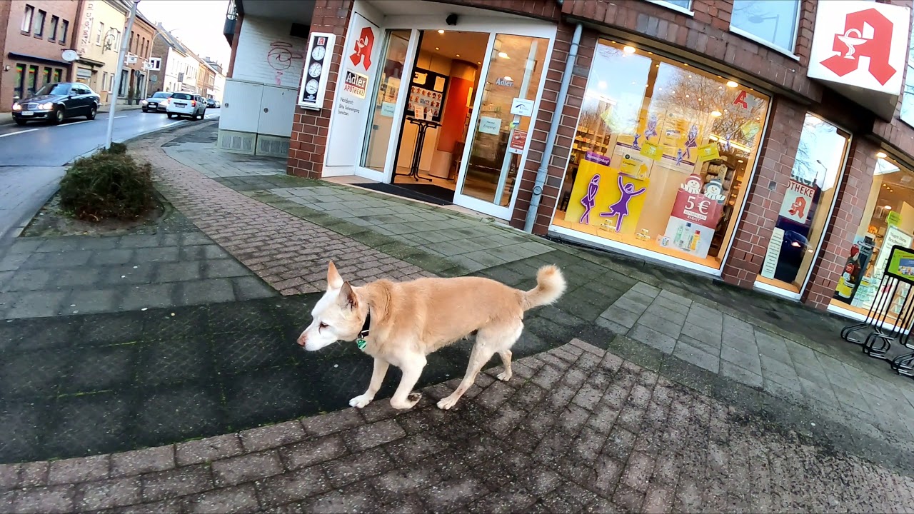 Lobberich, bei Nettetal, 04.02.2021